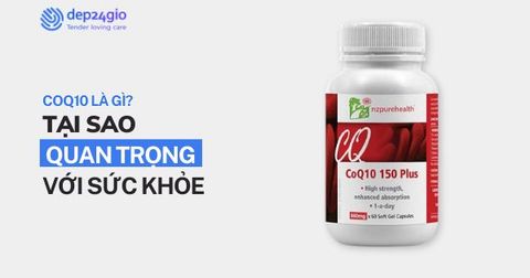 CoQ10 là gì? Tại sao quan trọng với sức khỏe