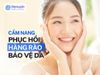 Cẩm Nang Phục Hồi Hàng Rào Bảo Vệ Da