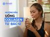 Hướng Dẫn Uống Collagen Từ Chuyên Gia