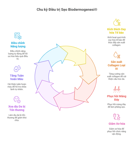 cach-tri-seo-bong-cn-biodermogenesi