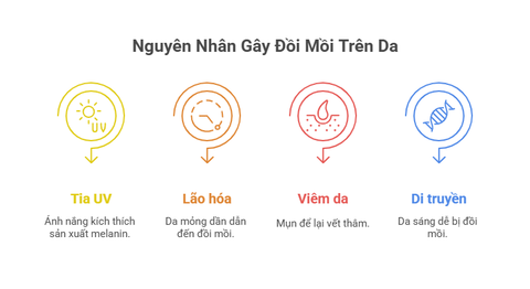 doi-moi-tren-da-nguyen-nhan