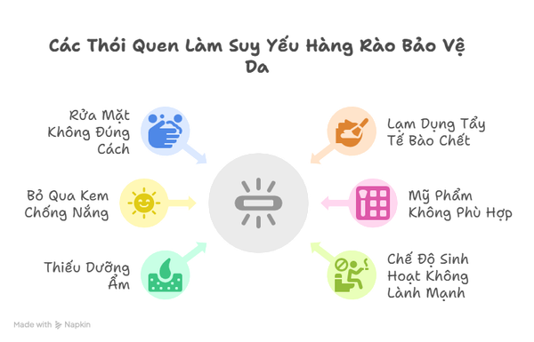 hang-rao-bao-ve-da-2