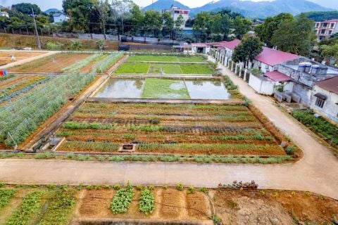 Lan tỏa nông nghiệp hữu cơ: Thay đổi từ nhận thức đến hành động thực tiễn