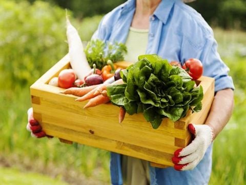 Các lợi ích khi sản xuất nông nghiệp theo phương pháp canh tác hữu cơ