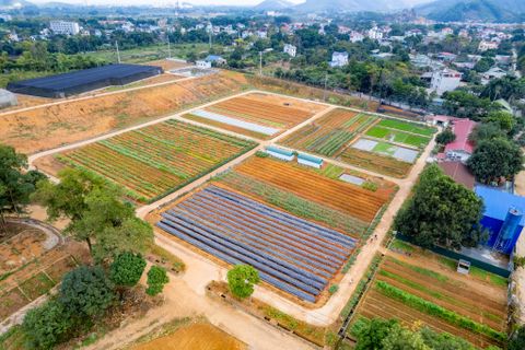 B-Farm Organic - Nông trại Hữu cơ chất lượng cao tại Hà Nội