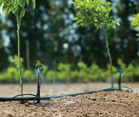 5 mẹo nhỏ giúp chọn ống LDPE chuẩn trong hệ thống tưới