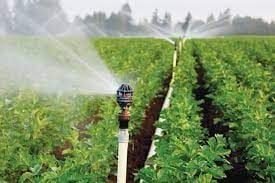 CÁCH LẮP ĐẶT HỆ THỐNG PHUN MƯA CHO CÂY TRỒNG.