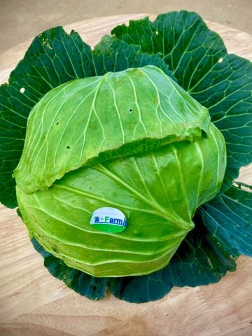 6 Tác Dụng Tuyệt Vời Của Bắp Cải Trong Ngăn Ngừa Và Điều Trị Bệnh