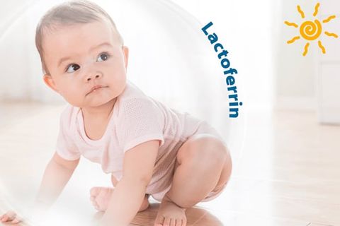 LACTOFERRIN LÀ GÌ? VAI TRÒ CỦA LACTOFERRIN