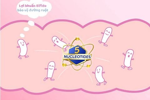 Nucleotide là gì? Vai trò của nucleotide đối với sức khỏe