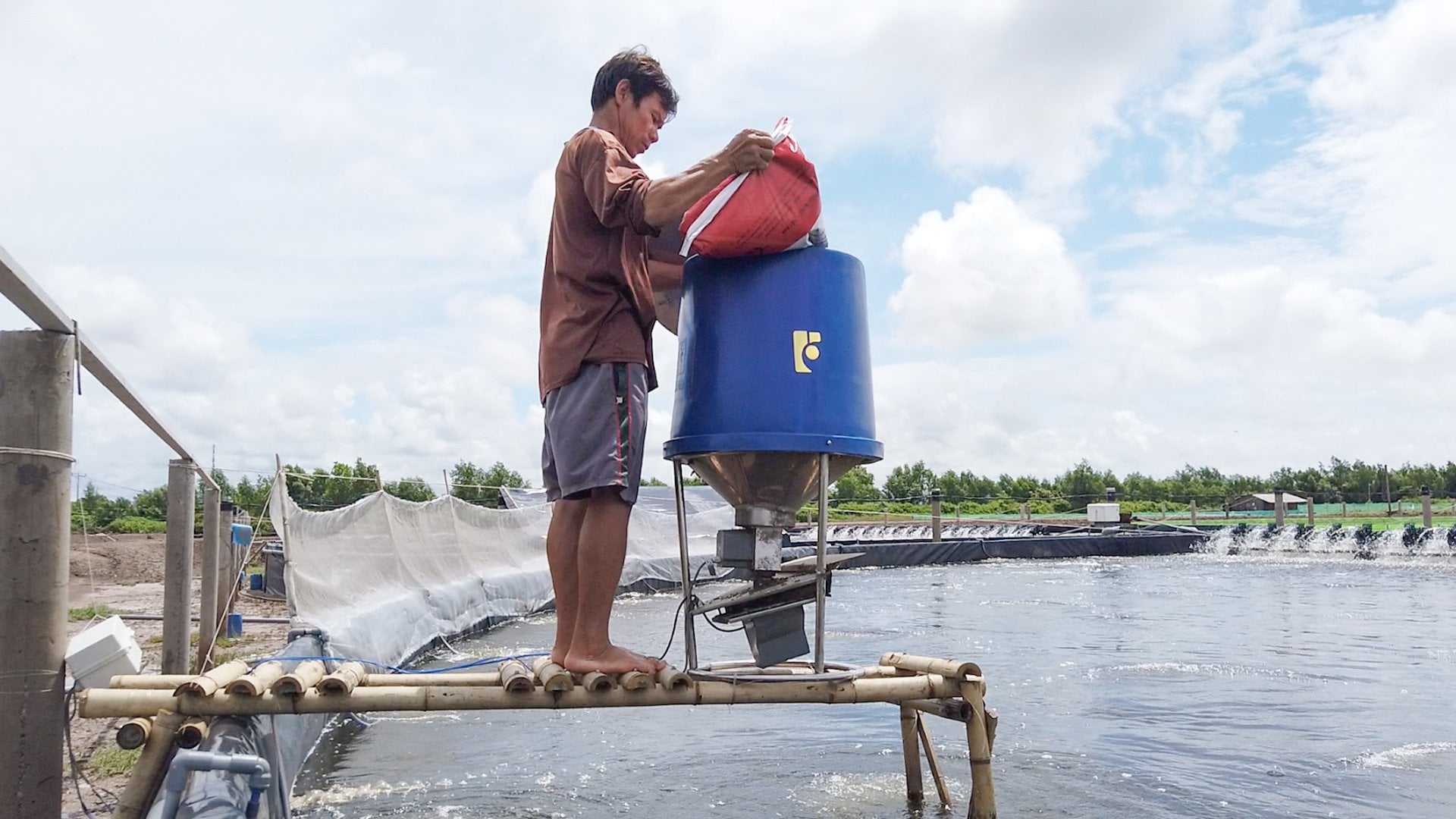 Tại Sao Nên Chọn Cho Tôm Ăn Bằng Máy
