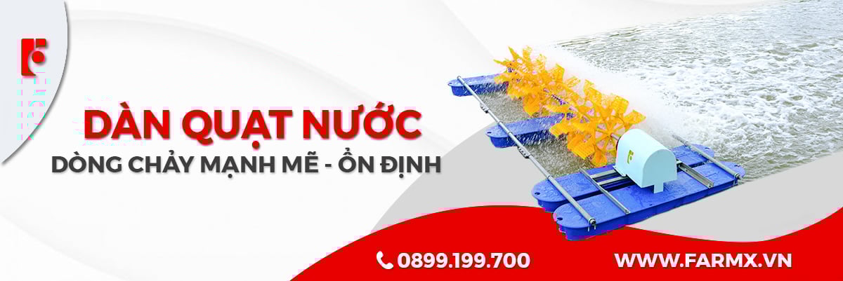 BỘ QUẠT TẠO DÒNG