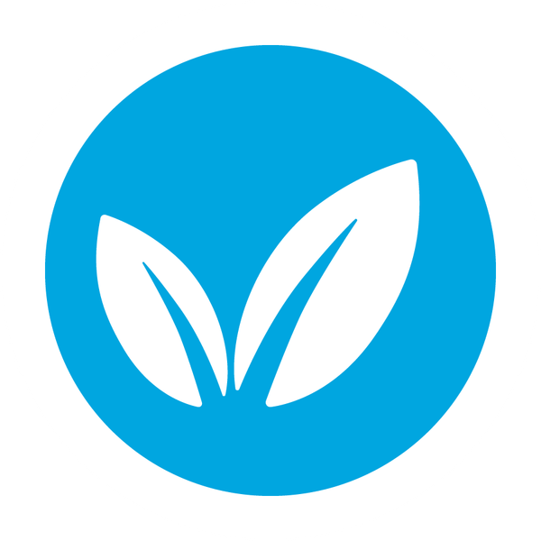 MÓN CHAY THANH LÀNH