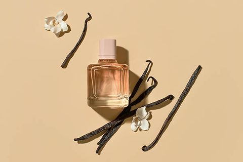 Nước Hoa Hương Vani - Lưu Giữ Sắc Duyên Ngọt Ngào Và Quyến Rũ