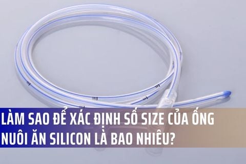 Làm sao để xác định được số size của ống nuôi ăn silicon là bao nhiêu?