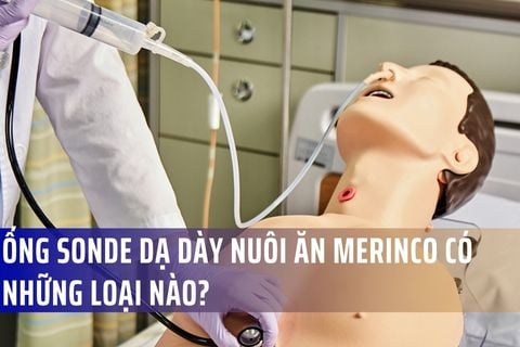 Ống sonde dạ dày nuôi ăn Merinco có những loại nào?