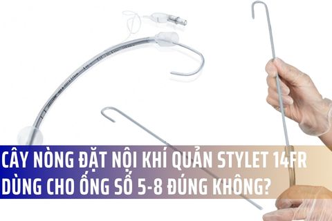 Cây nòng đặt nội khí quản stylet 14Fr dùng cho ống số 5-8 đúng không?