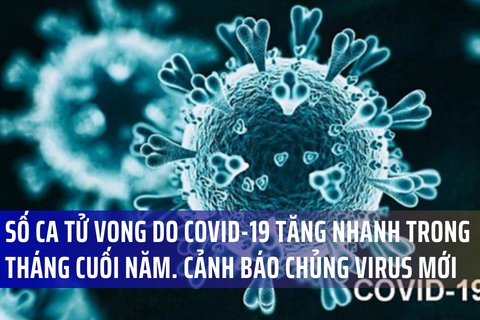 WHO: 10.000 người tử vong vì COVID trong 1 tháng trước các ngày lễ. Biến thể virus corona mới JN.1 đang lây lan mạnh.
