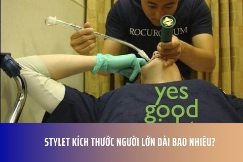 Stylet kích thước người lớn dài bao nhiêu?