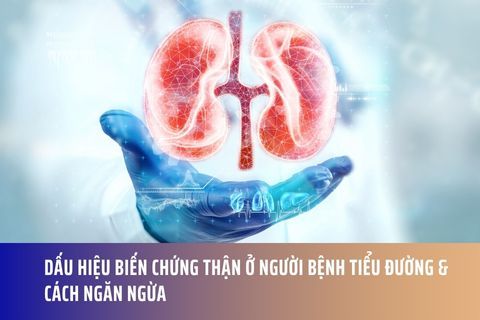 Dấu Hiệu Biến Chứng Thận Ở Người Bệnh Tiểu Đường & Cách Ngăn Ngừa