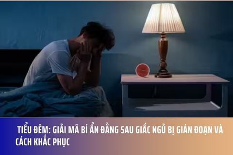Tiểu Đêm: Giải Mã Bí Ẩn Đằng Sau Giấc Ngủ Bị Gián Đoạn và Cách Khắc Phục