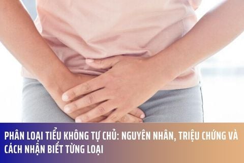 Phân Loại Tiểu Không Tự Chủ: Nguyên Nhân, Triệu Chứng Và Cách Nhận Biết Từng Loại