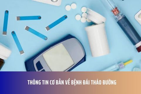 Thông tin cơ bản về bệnh đái tháo đường