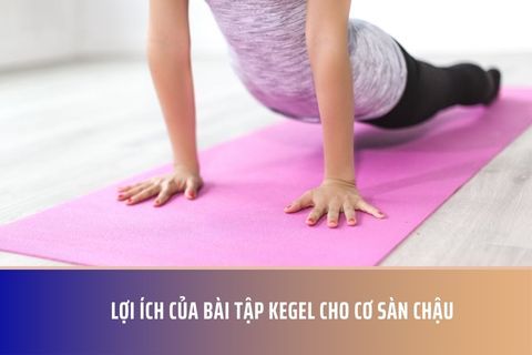 Lợi ích của bài tập Kegel cho cơ sàn chậu