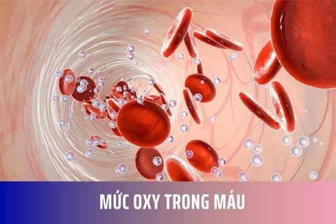Mức oxy trong máu là gì? Cách đo và khi nào cần kiểm tra