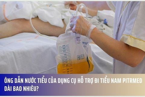 Ông dẫn nước tiểu của dụng cụ hỗ trợ đi tiểu nam Pitrmed dài bao nhiêu?