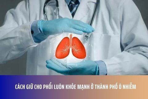 Cách Giữ Cho Phổi Luôn Khỏe Mạnh Ở Thành Phố Ô Nhiễm