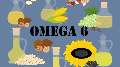 Sự thật về Omega-6