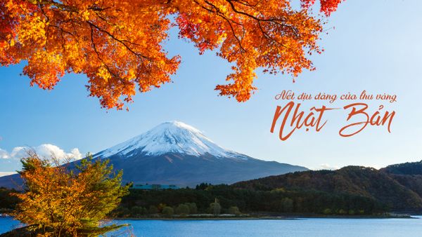 Nét dịu dàng của thu vàng Nhật Bản