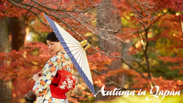 Thu về, ngắm lá phong đỏ xứ Phù Tang