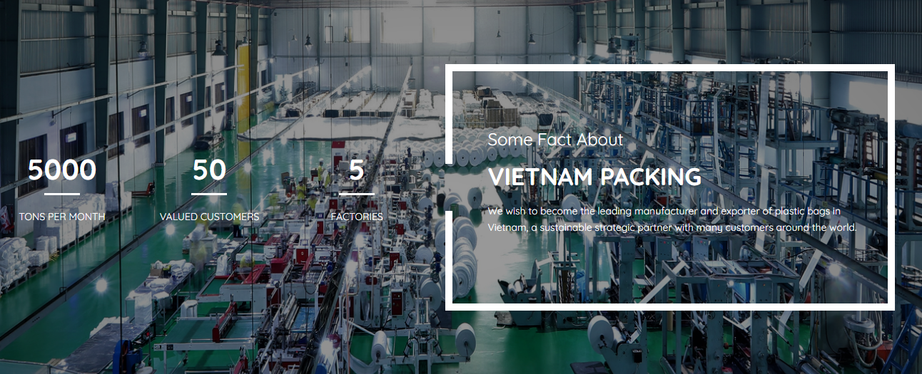 Vietnam Packing Development