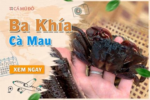 Ba khía Cà Mau - Đặc sản nức tiếng bạn đã thử?