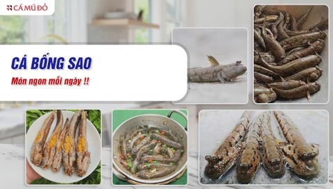 Cá bống sao - Đặc sản dân dã đậm hương vị quê nhà