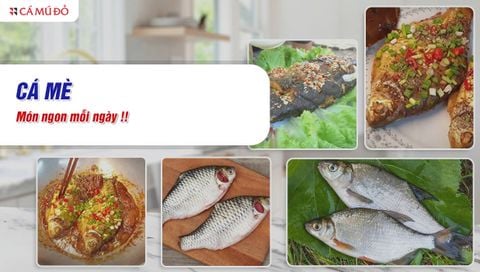 Cá mè là cá gì? Nấu gì ngon, dinh dưỡng ra sao và giá bao nhiêu?