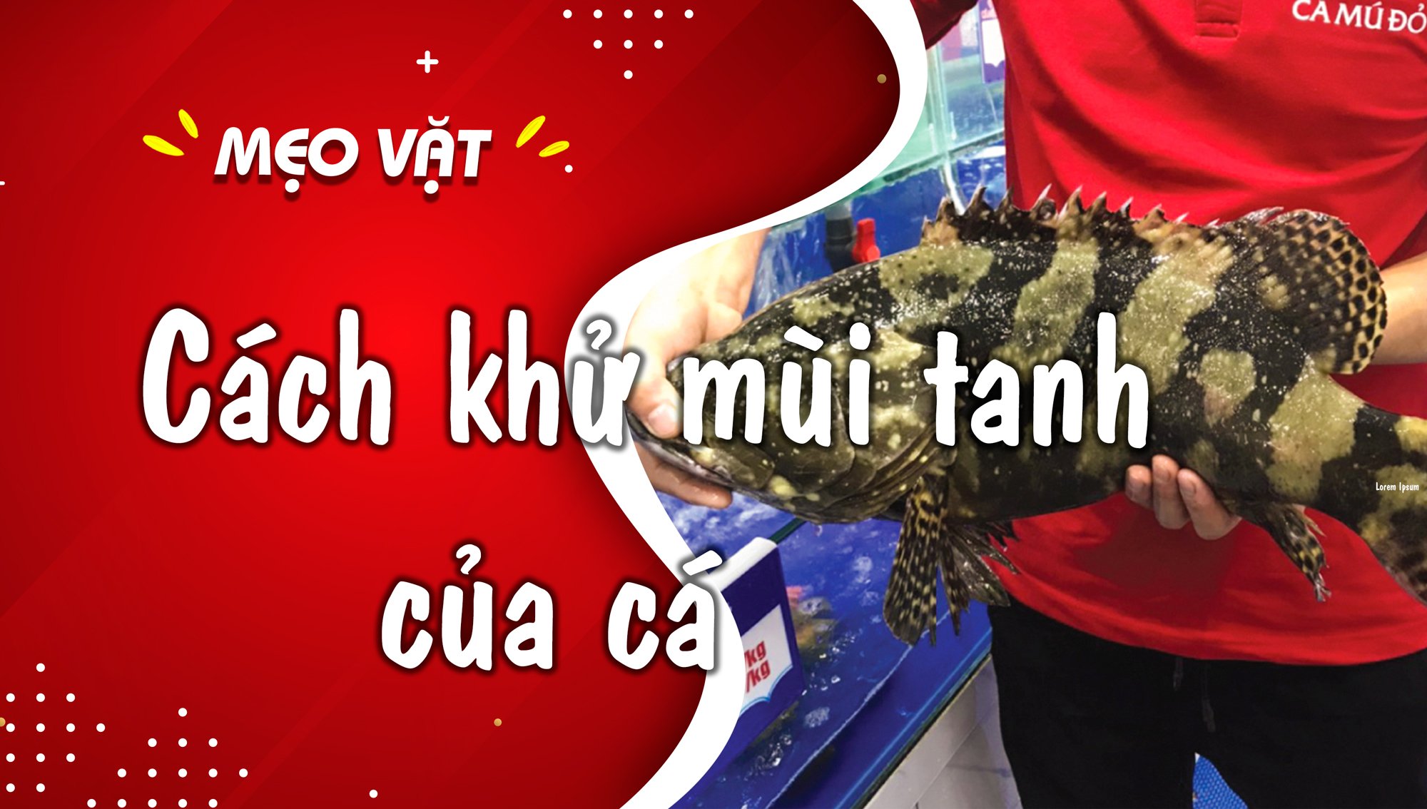 Cách làm hết mùi tanh của cá Chia sẻ những bí quyết độc đáo