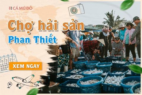 Không thể bỏ lỡ 5 chợ hải sản dưới đây khi đến Phan Thiết!