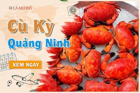 Đặc sản cù kỳ Quảng Ninh - Món ăn ngon và địa chỉ mua hàng