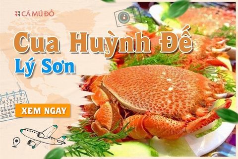 Cua huỳnh đế - Loại hải sản bạn không nên bỏ lỡ khi đến Lý Sơn