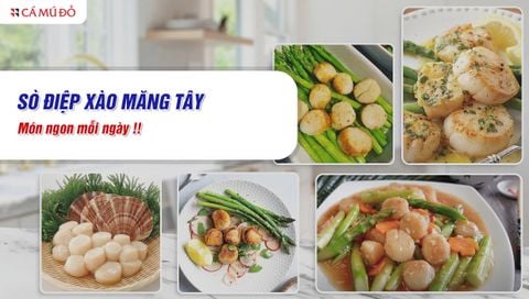Sò điệp xào măng tây - Món ngon dinh dưỡng cho bữa ăn gia đình