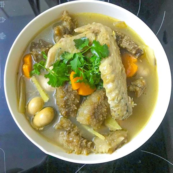 hải sâm gai