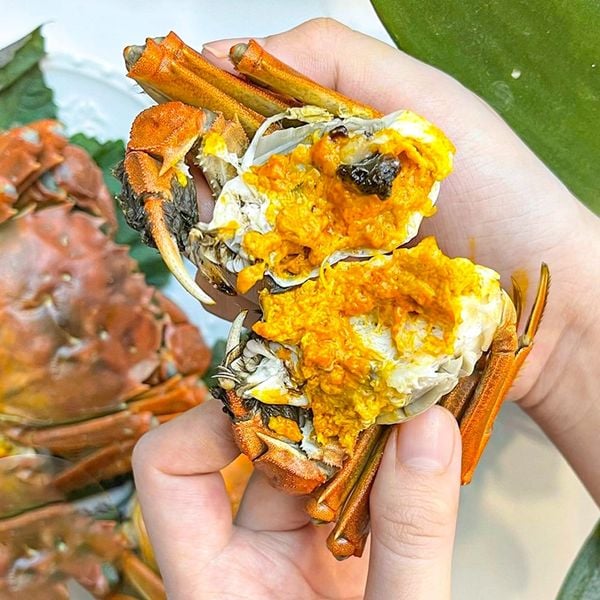 cua lông thượng hải hấp