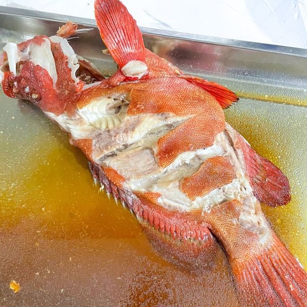 cá mú đỏ bịp hấp xì dầu