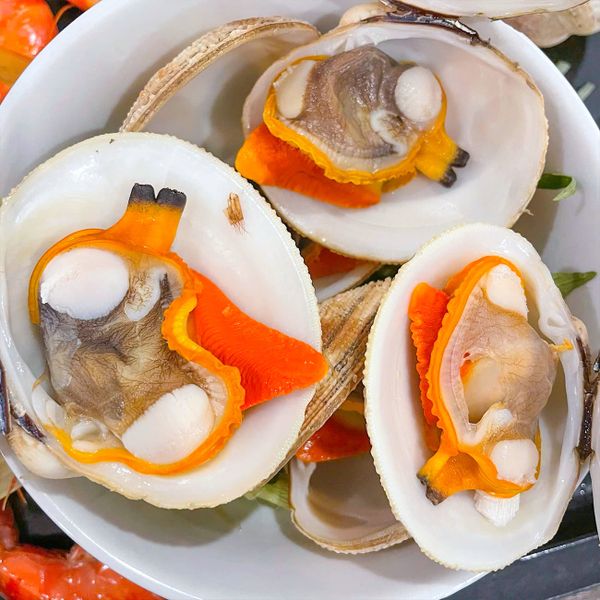 sò sần thiên nhiên hấp sả