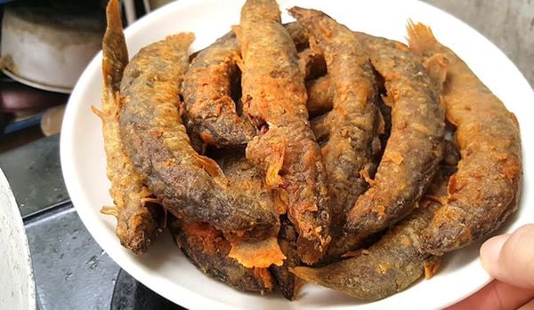 cá chạch chiên lá lốt