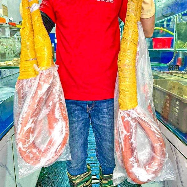 các loại cá đông lạnh