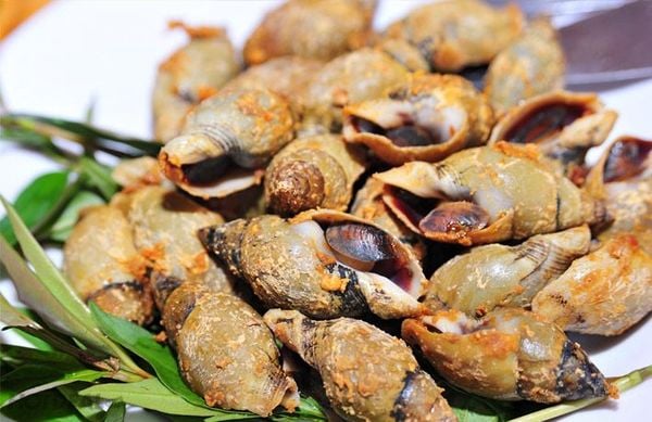 ốc cà na rang muối